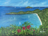 Magen's Bay Canvas